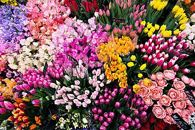 《漫威蜘蛛侠：复刻版》现已通过Steam Deck验证