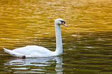 传闻：Xbox提前规划了15年的第一方游戏阵容