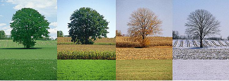 Xbox高管称乐意看到使命召唤系列登陆任天堂Switch